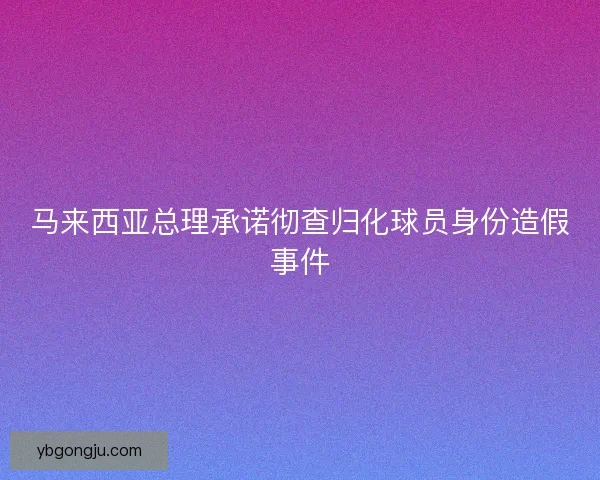 马来西亚总理承诺彻查归化球员身份造假事件